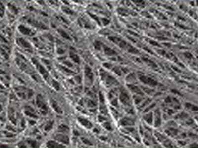 長(zhǎng)園中鋰隔膜