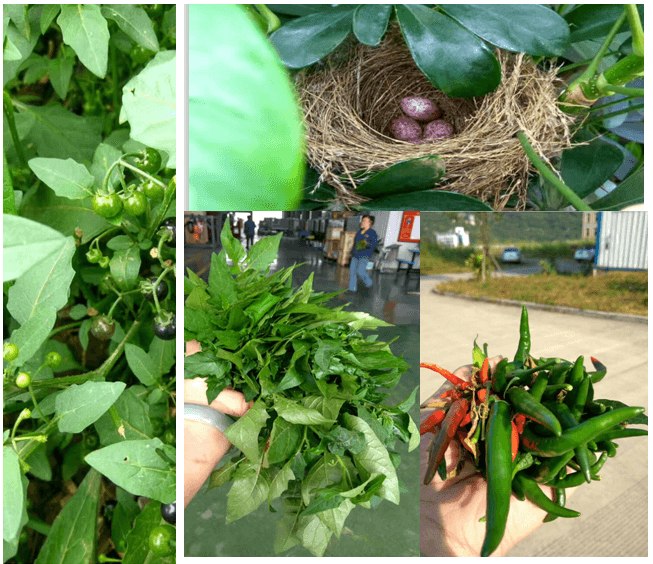 鋰電池攪拌設備企業(yè)引入傳統(tǒng)文化管理淺探