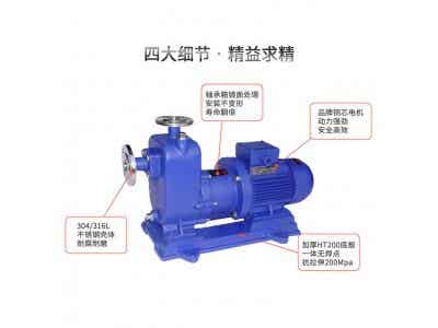 CQZ不銹鋼自吸磁力泵圖2