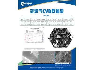 硅烷氣CVD載體碳圖2